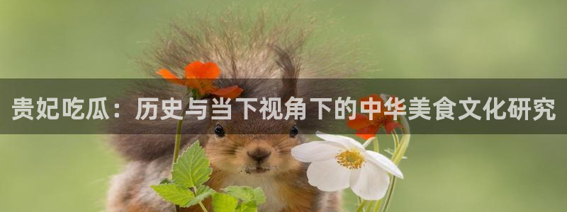 51吃瓜热心张津瑜：贵妃吃瓜：历史与当下视角下的中华美食文化研究