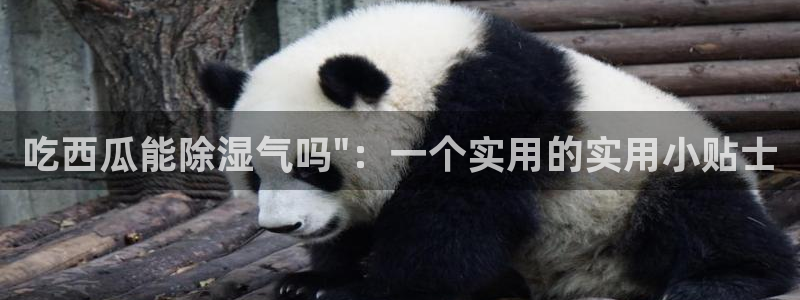 51吃瓜今日吃瓜入口最新