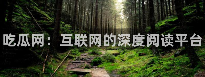 长生武道从九龙夺嫡开始吃瓜