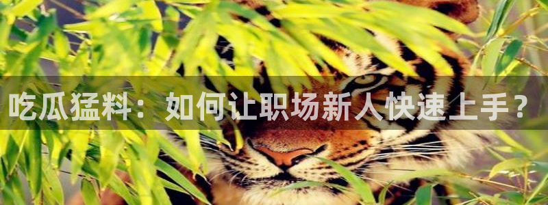 吃小瓜舌头尖疼是为什么：吃瓜猛料：如何让职场新人快速上手？