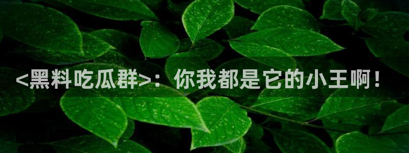 911爆料网红吃瓜