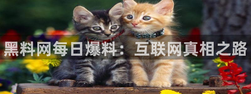 51吃瓜网51今日大大瓜：黑料网每日爆料：互联网真相之路
