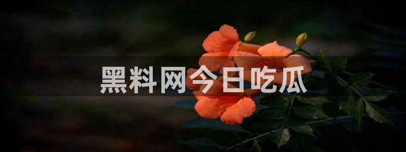 51吃瓜网热门黑料：黑料网今日吃瓜