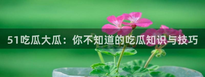 高血糖能吃籽瓜吗：51吃瓜大瓜：你不知道的吃瓜知识与技巧