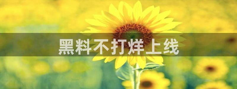 吃小瓜会长胖吗：黑料不打烊上线