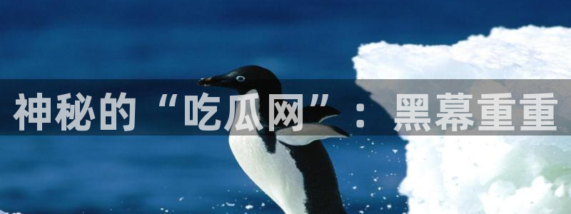 黑料免费：神秘的“吃瓜网”：黑幕重重