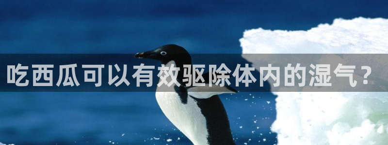 吃瓜是什么意思:吃西瓜可以有效驱除体内的湿气?