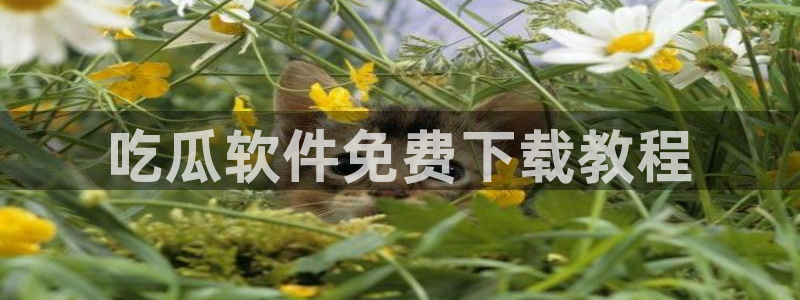 吃瓜吃瓜：吃瓜软件免费下载教程