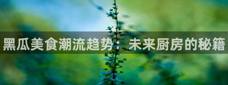51吃瓜网今日必吃大瓜：黑瓜美食潮流趋势：未来厨房的秘籍