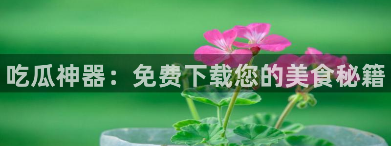 高血糖能吃籽瓜吗