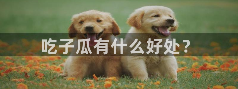 吃小瓜舌头尖疼是为什么：吃子瓜有什么好处？