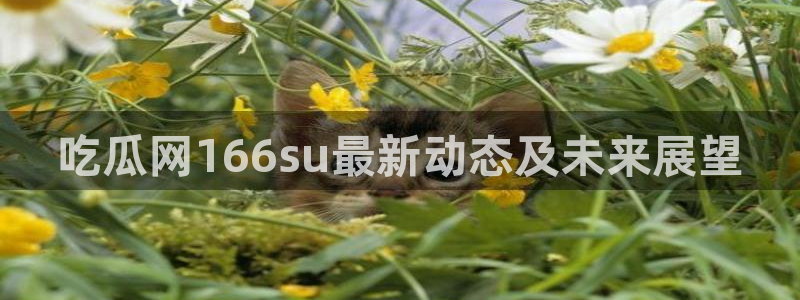 高血糖可以吃瓜吗：吃瓜网166su最新动态及未来展望