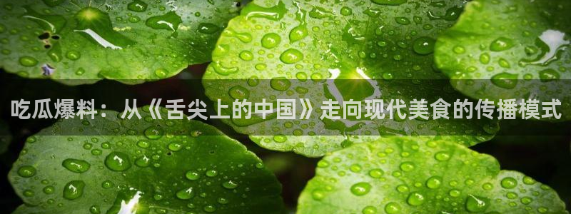豆瓣自由吃瓜基地:吃瓜爆料:从《舌尖上的中国》走向现代美食的传播模式