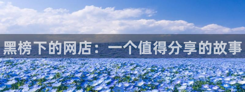 nanataipei吃瓜：黑榜下的网店：一个值得分享的故事