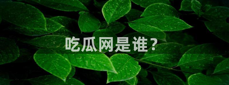 51cg1.ct吃瓜张津瑜：吃瓜网是谁？