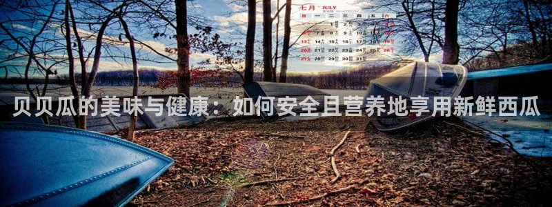 51吃瓜网 张津瑜：贝贝瓜的美味与健康：如何安全且营养地享用新鲜西瓜