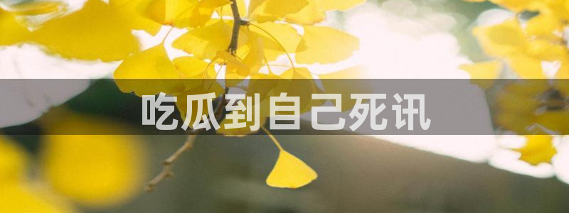 吃瓜电影