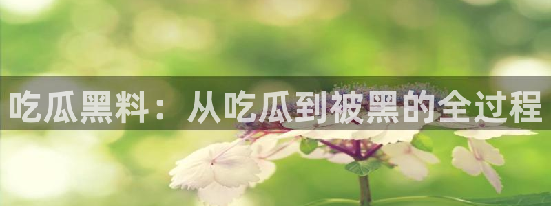 51吃瓜张津瑜：吃瓜黑料：从吃瓜到被黑的全过程