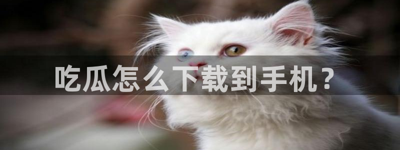 黑料 爆料