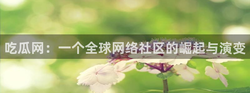 51吃瓜今日吃瓜莫里秀：吃瓜网：一个全球网络社区的崛起与演变