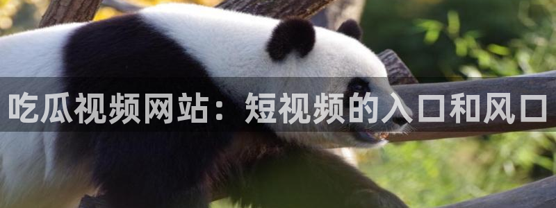 吃瓜的意思