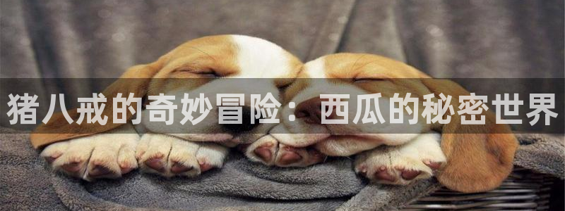 对照组在大杂院吃瓜[七零]