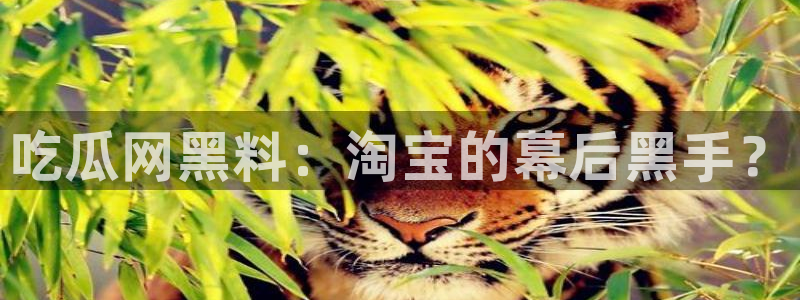51吃瓜备用线路