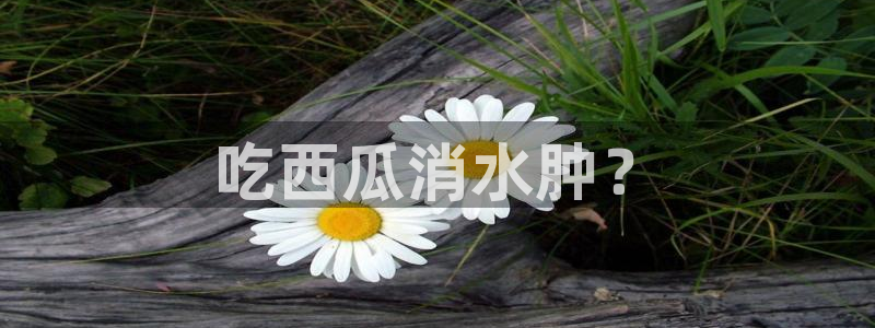51cg吃瓜今日吃瓜热门大瓜