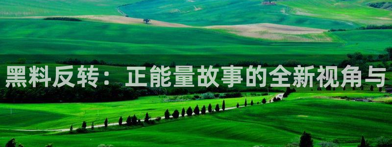 yourport吃瓜网:黑料反转:正能量故事的全新视角与