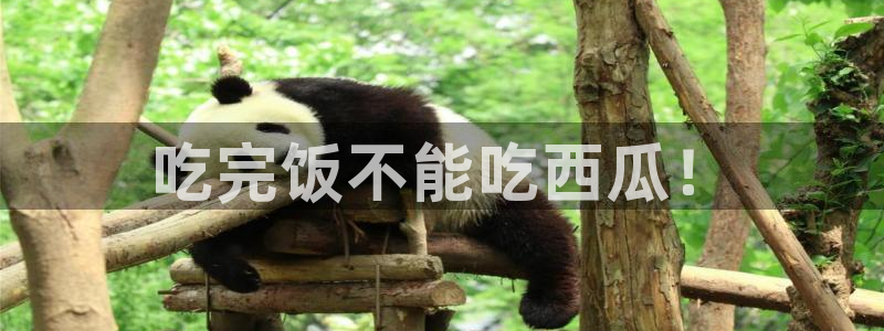51吃瓜网今日必吃大瓜:吃完饭不能吃西瓜!