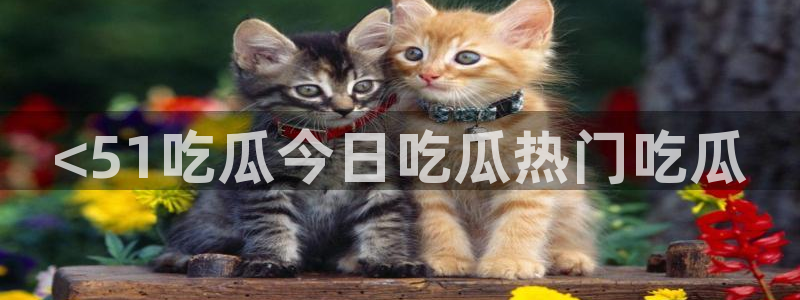 24小时吃瓜不间断：<51吃瓜今日吃瓜热门吃瓜