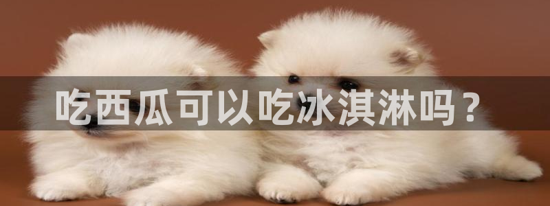 吃瓜网 今日吃瓜 热门大瓜:吃西瓜可以吃冰淇淋吗?