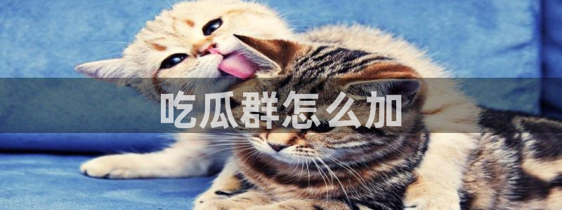 1吃瓜:吃瓜群怎么加