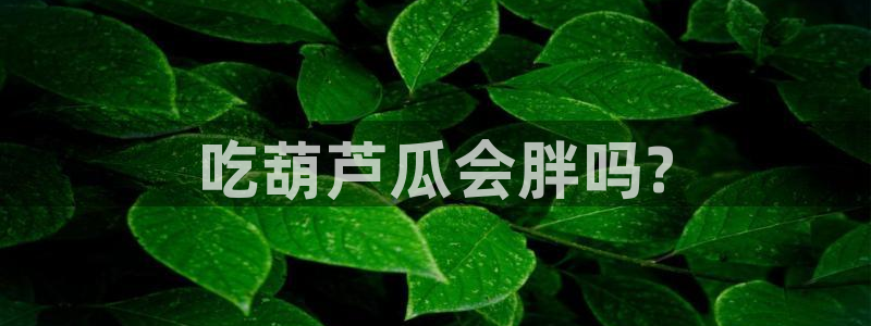 51吃瓜全网更新最快：吃葫芦瓜会胖吗?