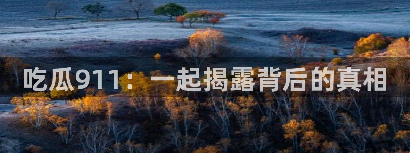 51吃瓜今日必吃刀刀：吃瓜911：一起揭露背后的真相